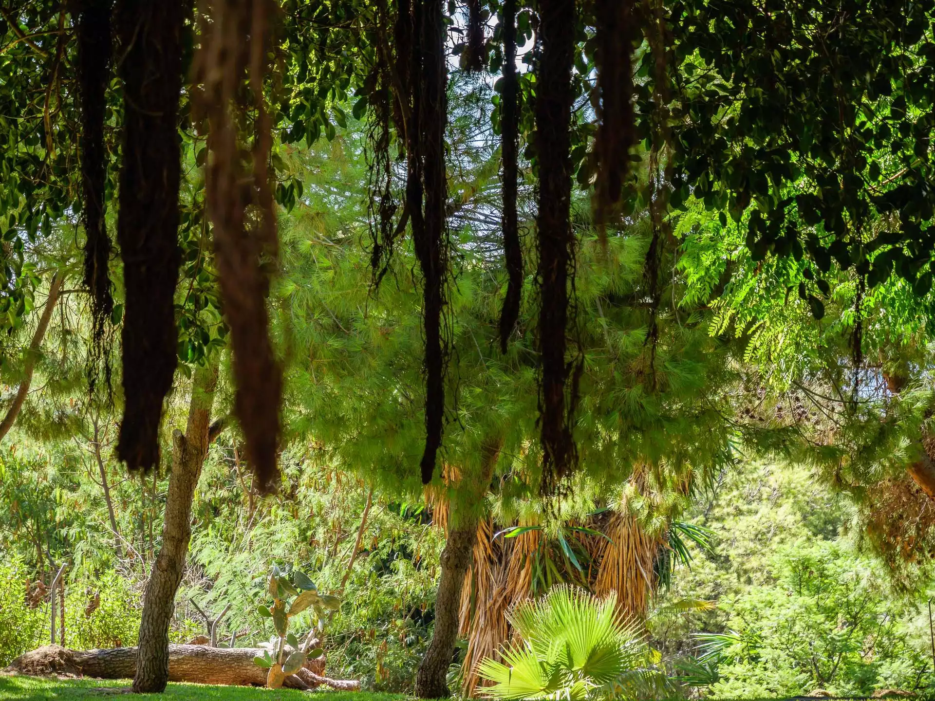 Hiking routes in Benalmádena